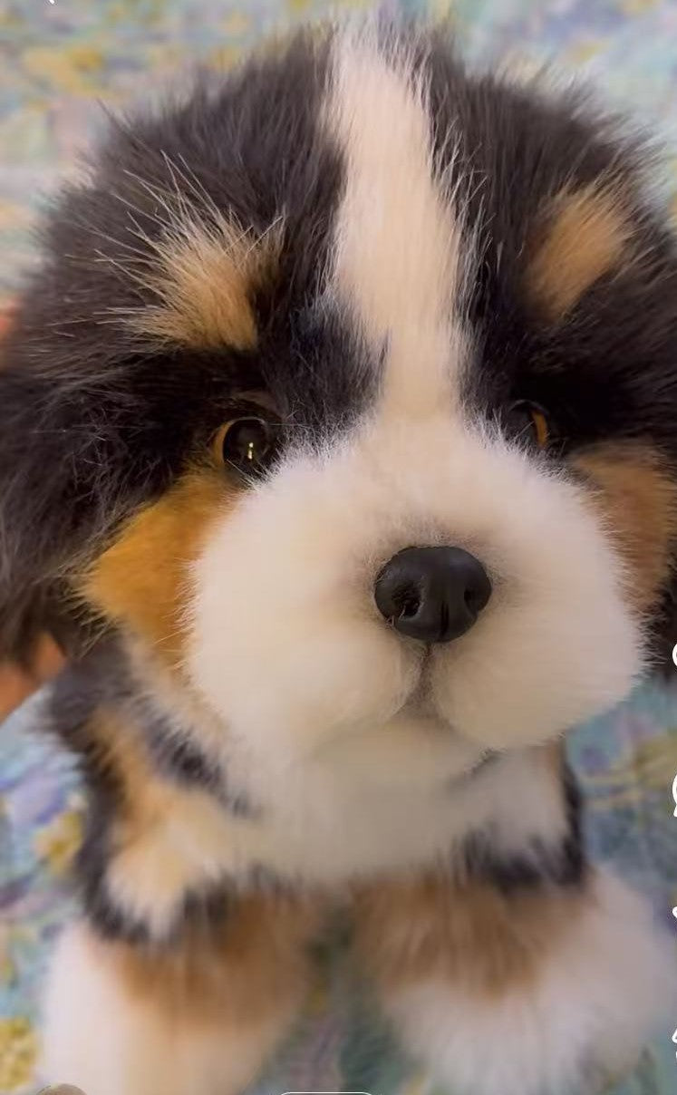 Handmade plush toy Bernese Mountain Dog (about 40cm)