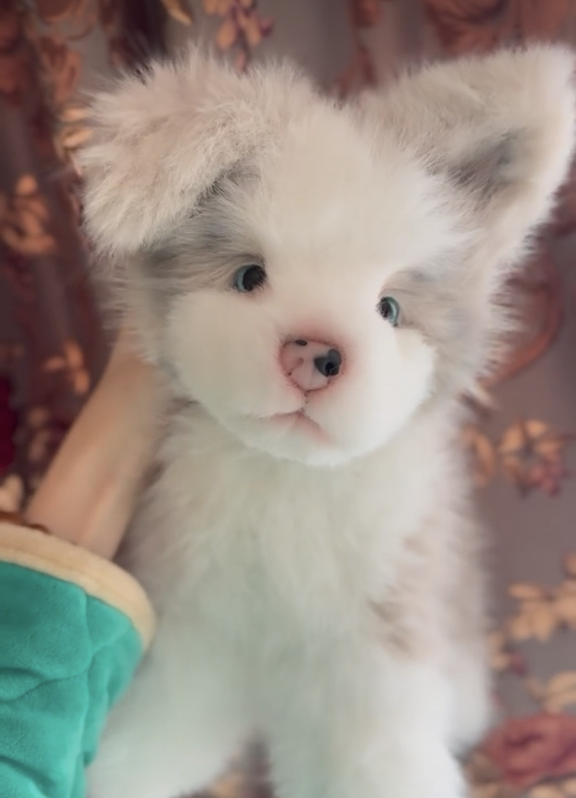 Handmade plush toy Border Collie dog (30cm)