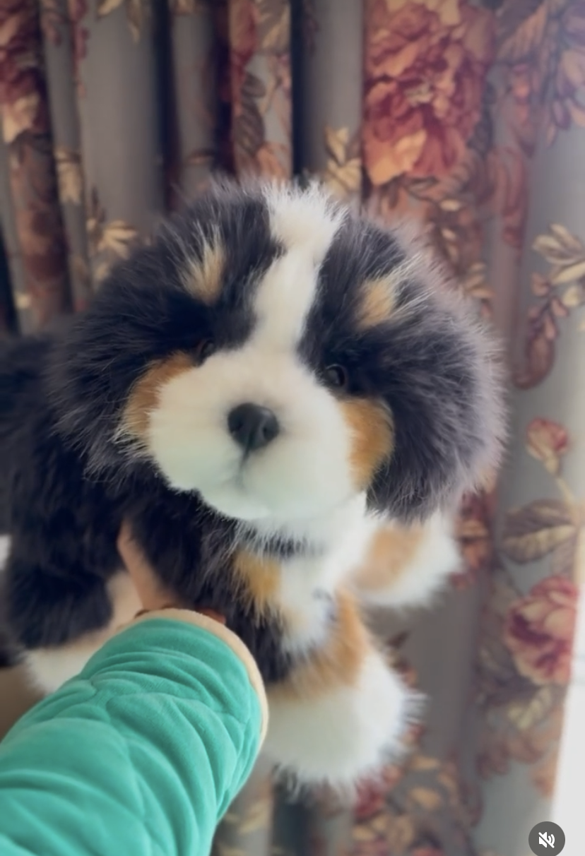 Handmade plush toy Bernese Mountain Dog (about 40cm)