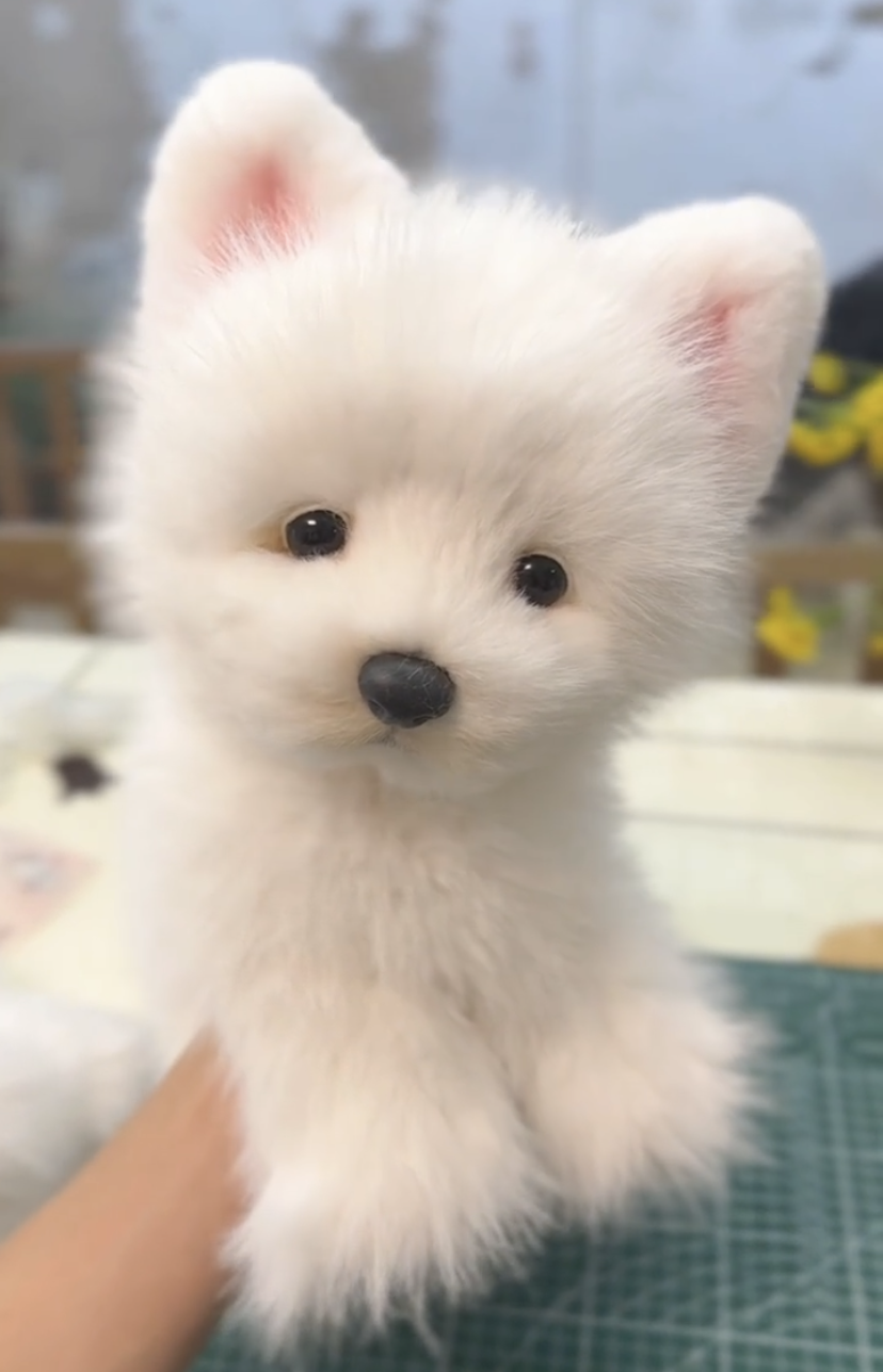 Handmade plush toy white dog