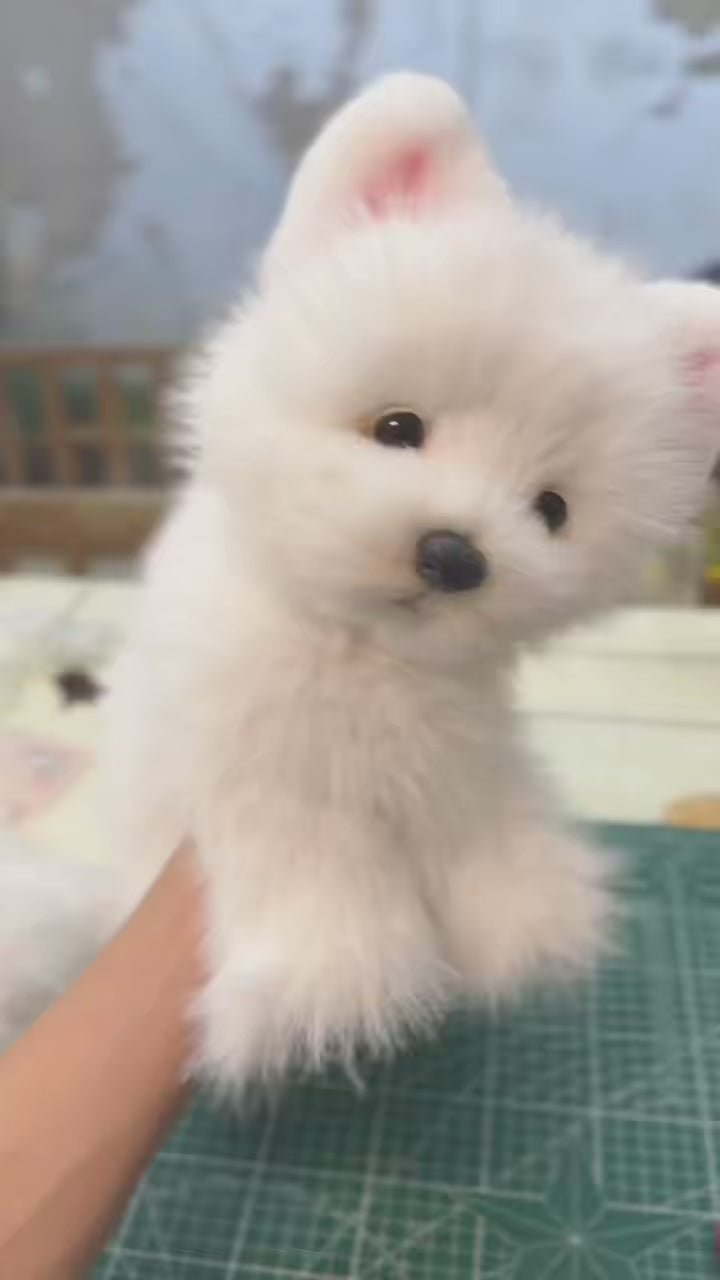 Handmade plush toy white dog