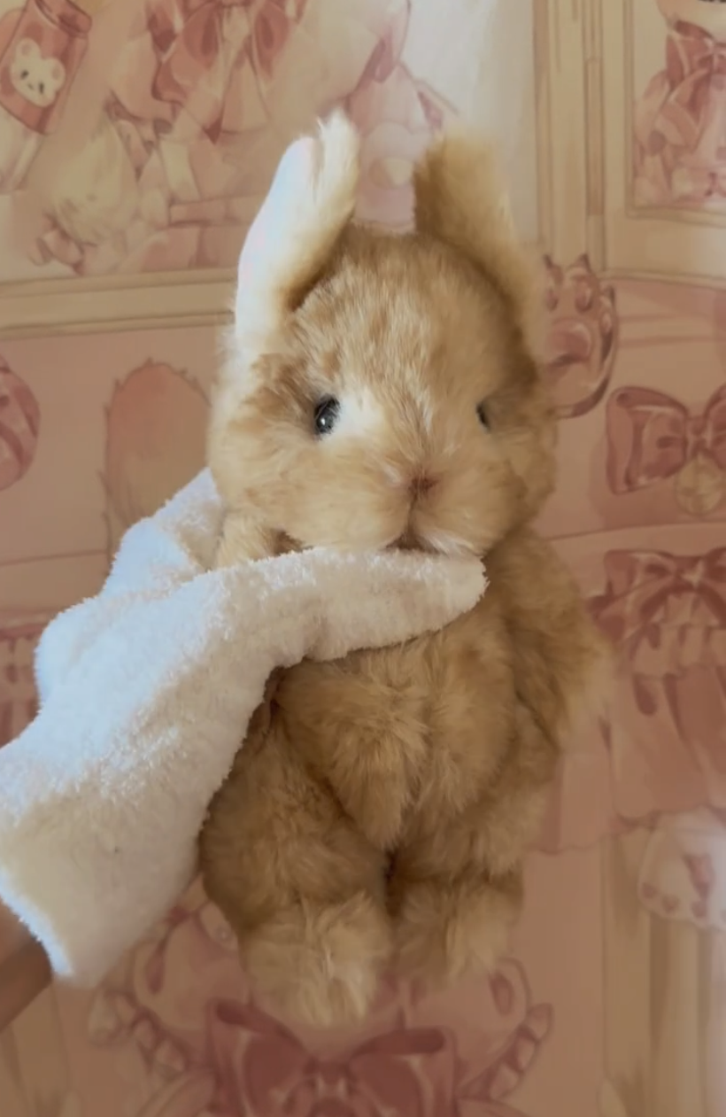 Handmade plush toy rabbit(Joints can shake)